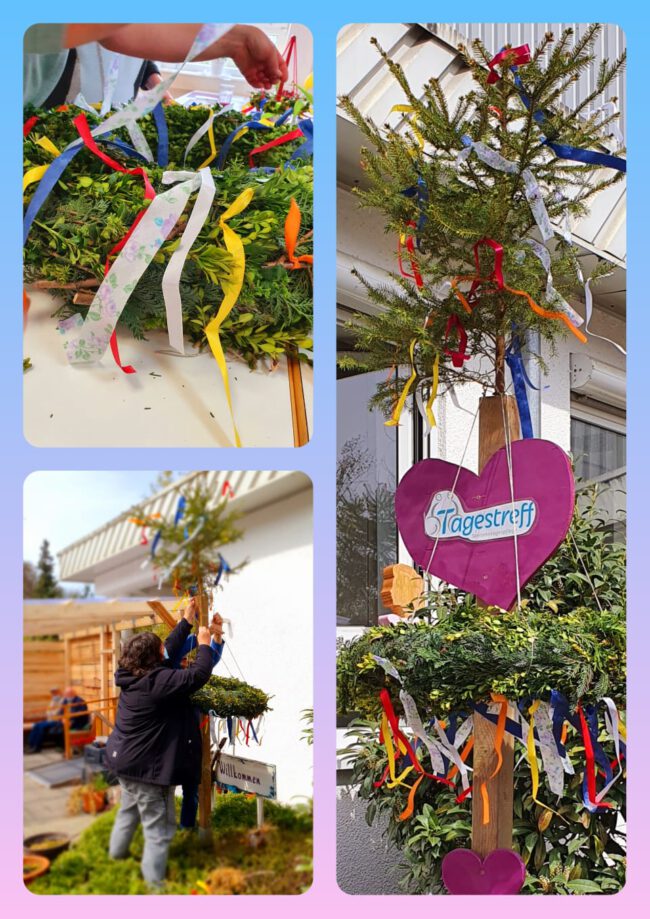 Maibäume wo man hinschaut - tagestreff